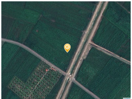 Bán đất 12000m² 5 tỷ tại Xã Phước Ninh Huyện Dương Minh Châu