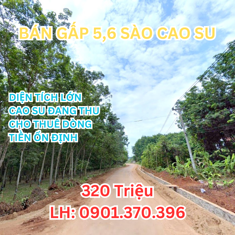 🔥 Bán Gấp 5.600m² – Có Thổ Cư, Sổ Riêng – Nha Bích, Chơn Thành – 320 Triệu