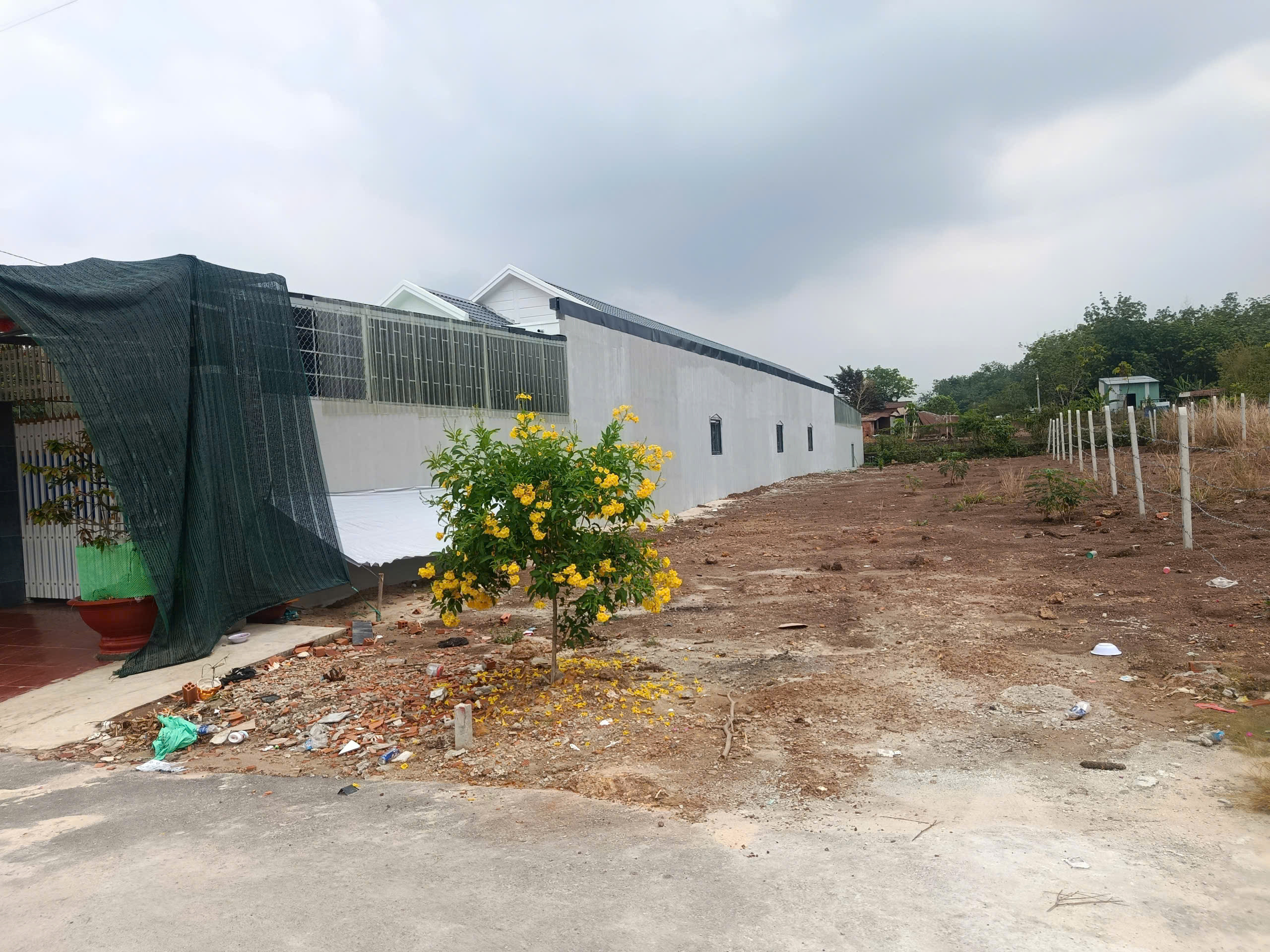 THU HỒI VỐN BÁN NHANH LÔ ĐẤT 230M2, GIÁ 580TR, SỔ HỒNG RIÊNG, TẠI PHƯỚC THÀNH, TP. HCM