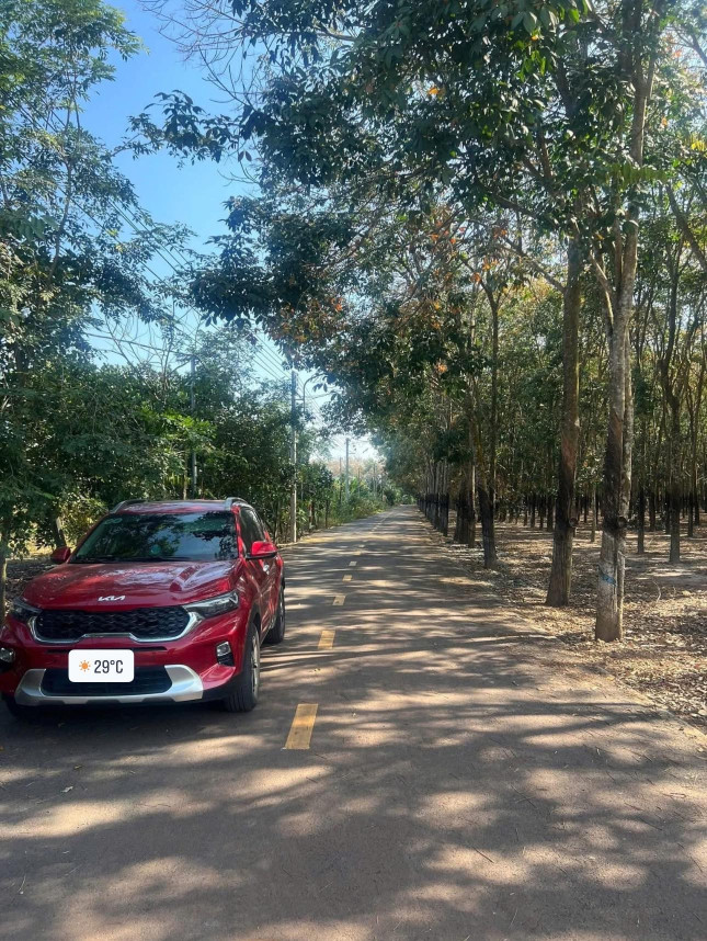 Bán đất 1469.2m² 3.4 tỷ tại Xã Phước Sang Huyện Phú Giáo