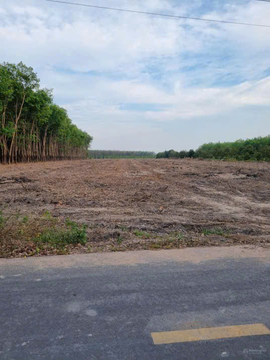 Bán đất 360m MT đường DH508, Phước Sang, Phú Giáo, Bình Dương chỉ với 4ty2