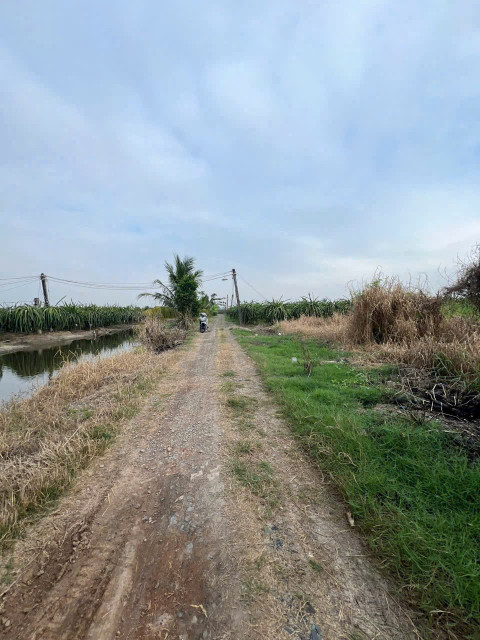 Bán đất 100m² ngang 5,5m giá 295 triệu tại Xã Phước Tân Hưng Huyện Châu Thành Long An
