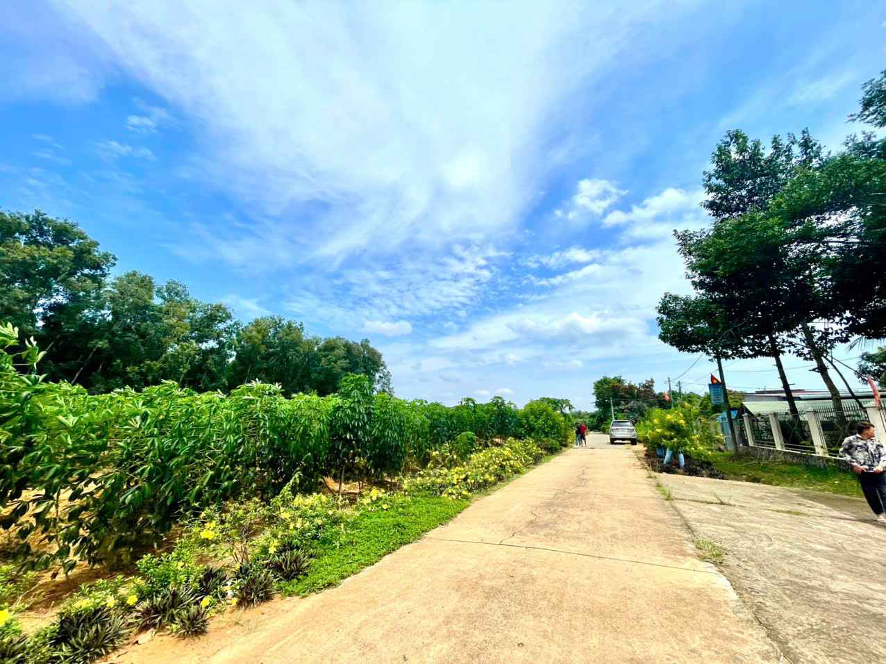 Bán 1000m đất ở Xã Tân Hiệp . Long Thành _Đồng Nai