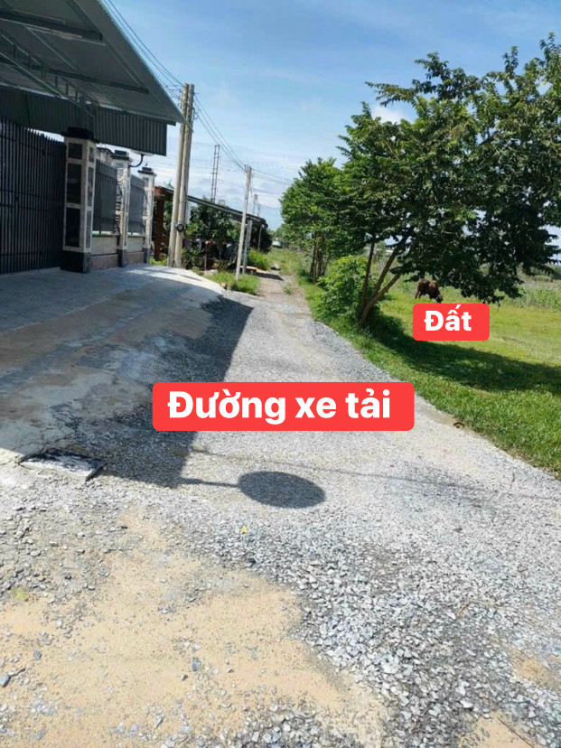 UP SỈ 7 LÔ - ĐẤT FULL THỔ CƯ GIÁ RẺ TẠI XÃ PHƯỚC THẠNH TÂY NINH