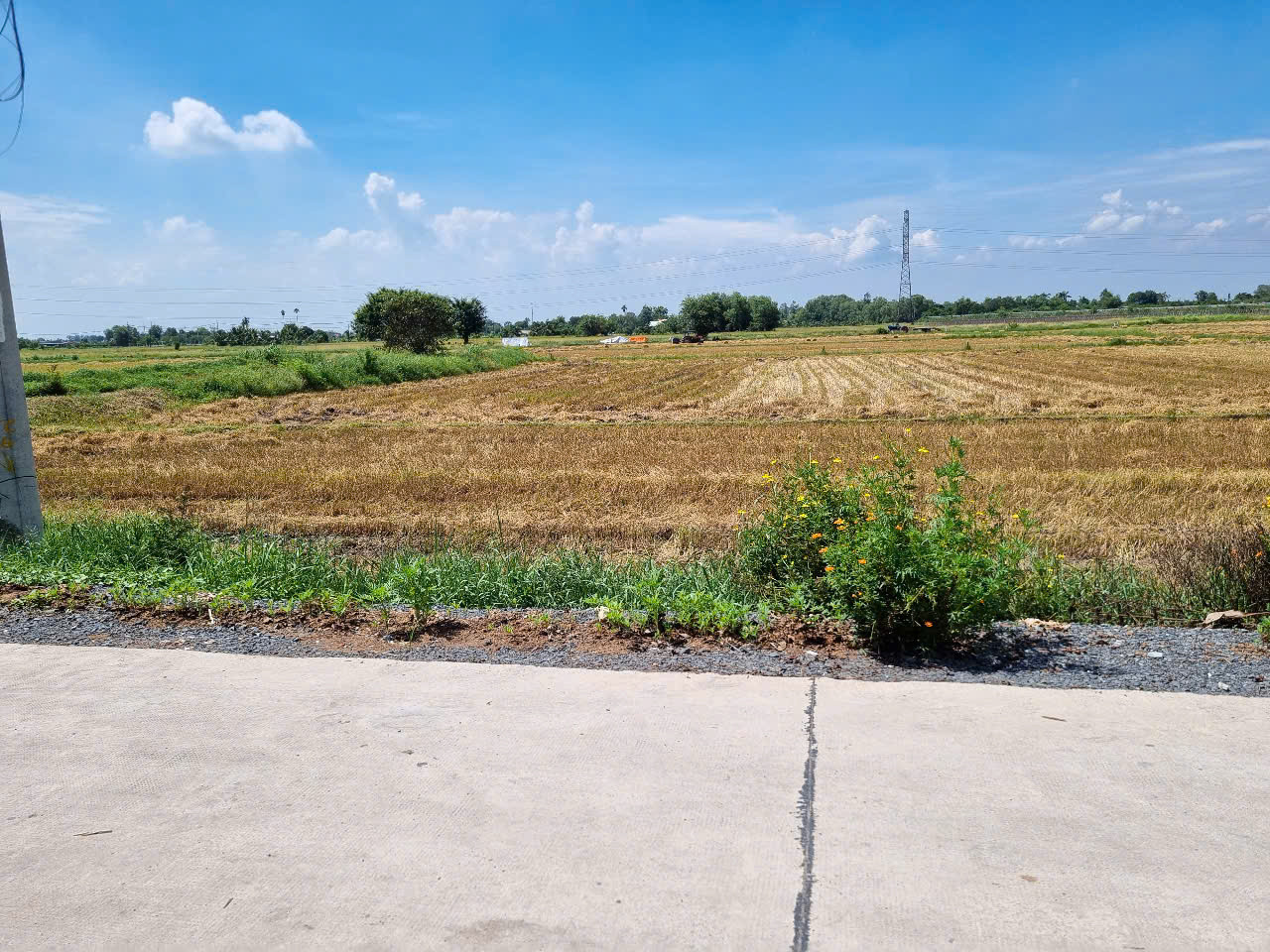 (L667) Đất mặt tiền Đường 663, xã Phước Thạnh, dt 1.331m2, giá 2 tỷ 590
