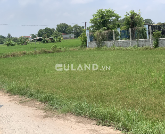 (L402) (Đã bán )Đất xã Phước Thạnh, dt 2163m2, đường thông, giá chỉ 3 tỷ 600