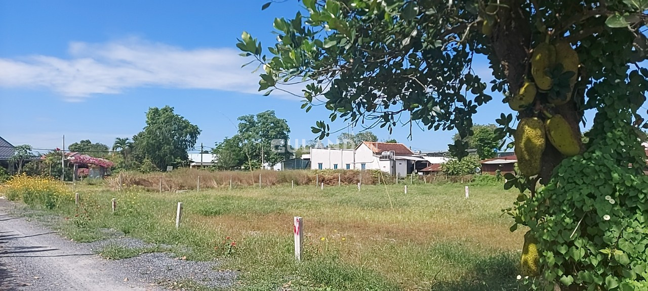 (B337) Đất 2/ Tỉnh Lộ 7, xã Phước Thạnh, dt 200m2, đất ở hiện hữu,  full thổ cư, chỉ 1 tỷ 350