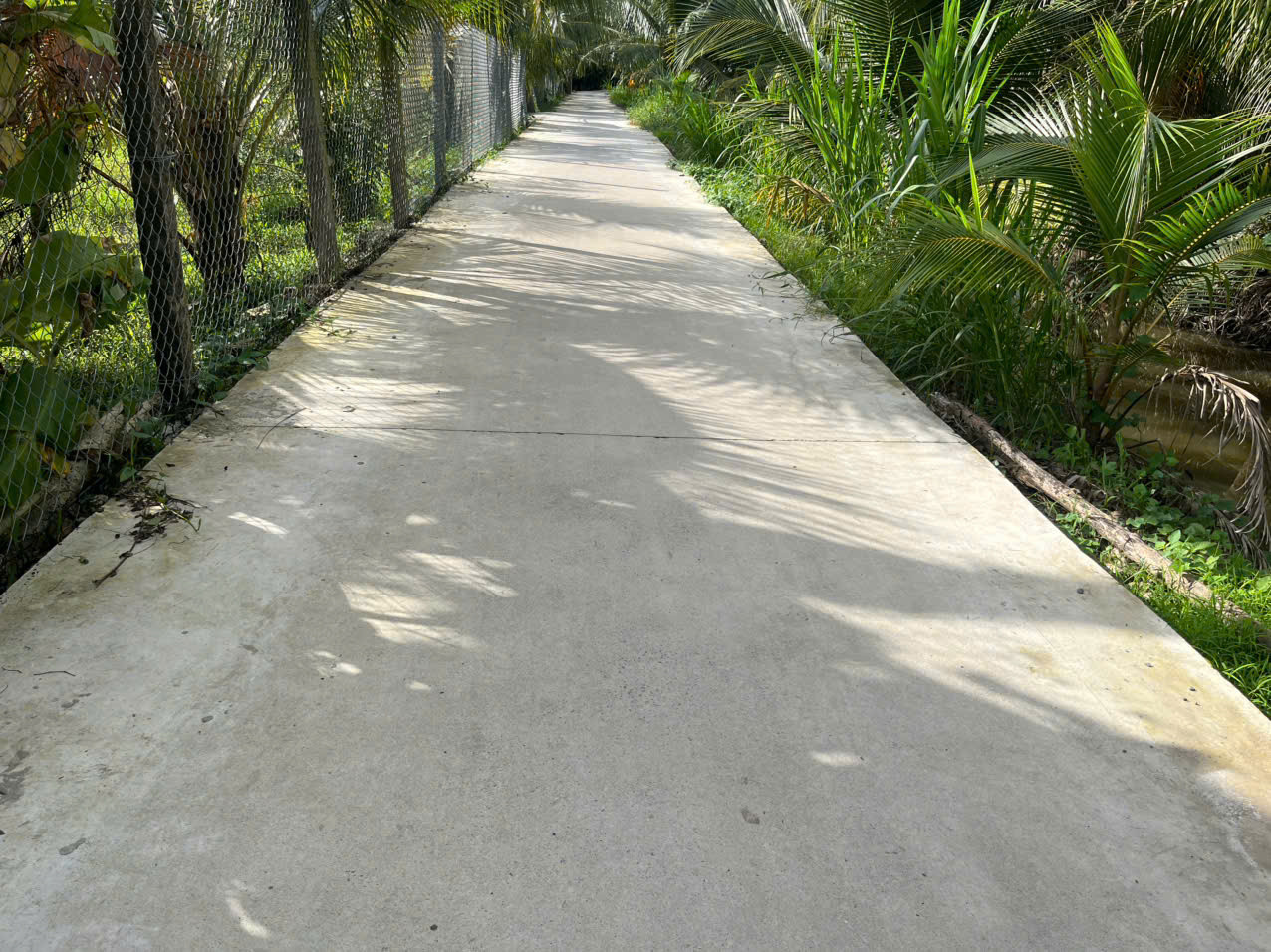 Cần tiền bán rẻ 278,3m2 đất thổ cư 150m2 mặt tiền đường thông ô tô Ba Pho 3m, Khu Phố Phước Hòa, Phường Trung An, Tỉnh Đồng Tháp, (Phước Thạnh – TP Mỹ Tho – Tiền Giang cũ)