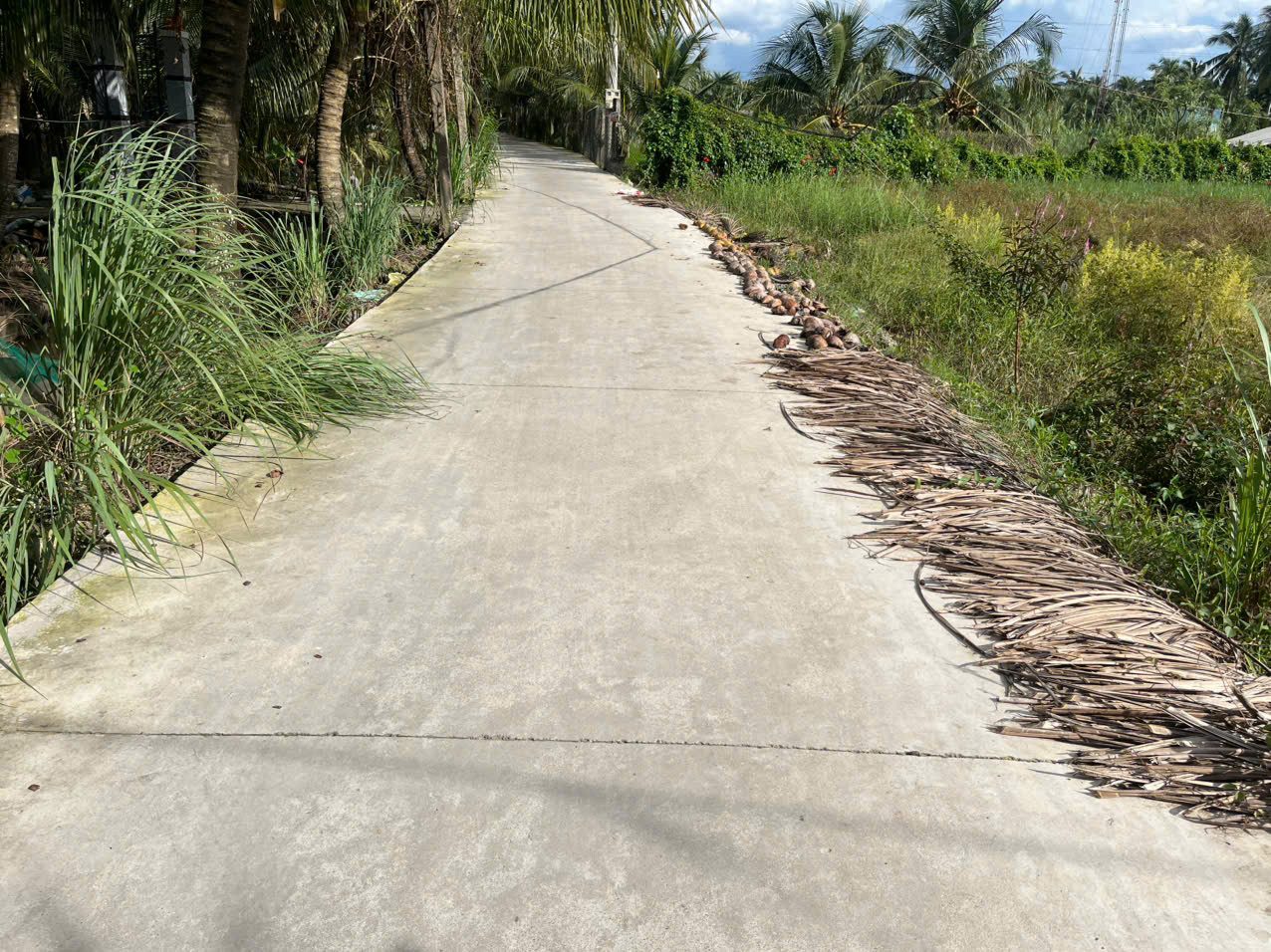 Cần tiền rẻ 5 lô đất thổ cư đường Bê tông ô tô 3m Ba Pho, Khu Phố Phước Hòa, Phường Trung An, Tỉnh Đồng Tháp, (Phước Thạnh – TP Mỹ Tho – Tiền Giang cũ)