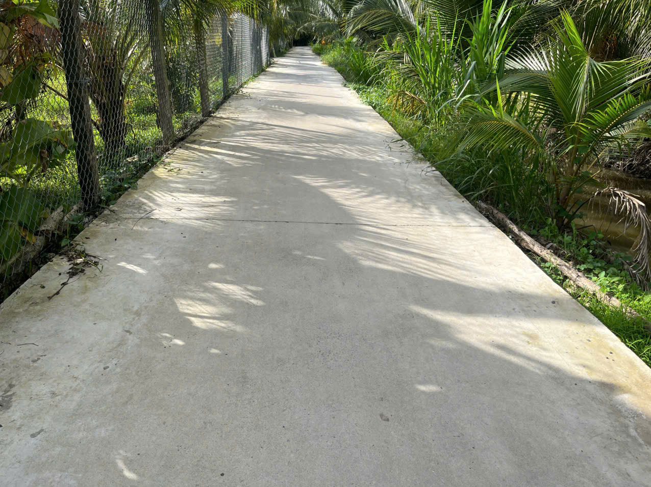 Cần tiền rẻ 5 lô đất thổ cư đường Bê tông ô tô 3m Ba Pho, Khu Phố Phước Hòa, Phường Trung An, Tỉnh Đồng Tháp, (Phước Thạnh – TP Mỹ Tho – Tiền Giang cũ)