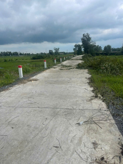 Nhà mặt tiền Long Hòa, xã Phước Vân, Cần Đước dt 1330m2 full thổ giá 13 tỷ