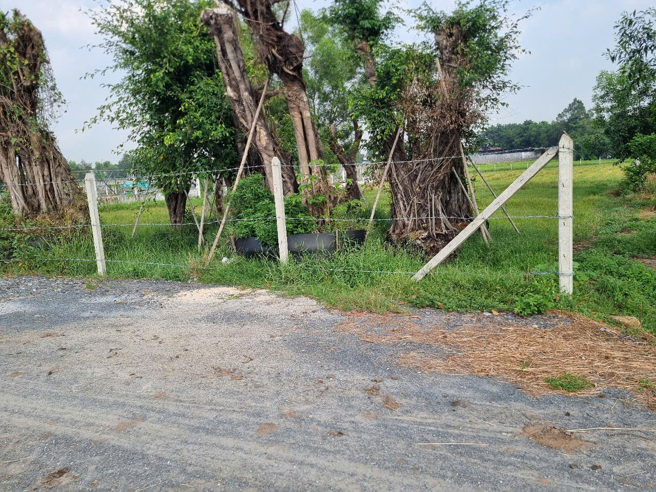 (B478) Đất xã Phước Vĩnh An, dt 4.623m2, chưa thổ, giá 2,5tr/m2 TL