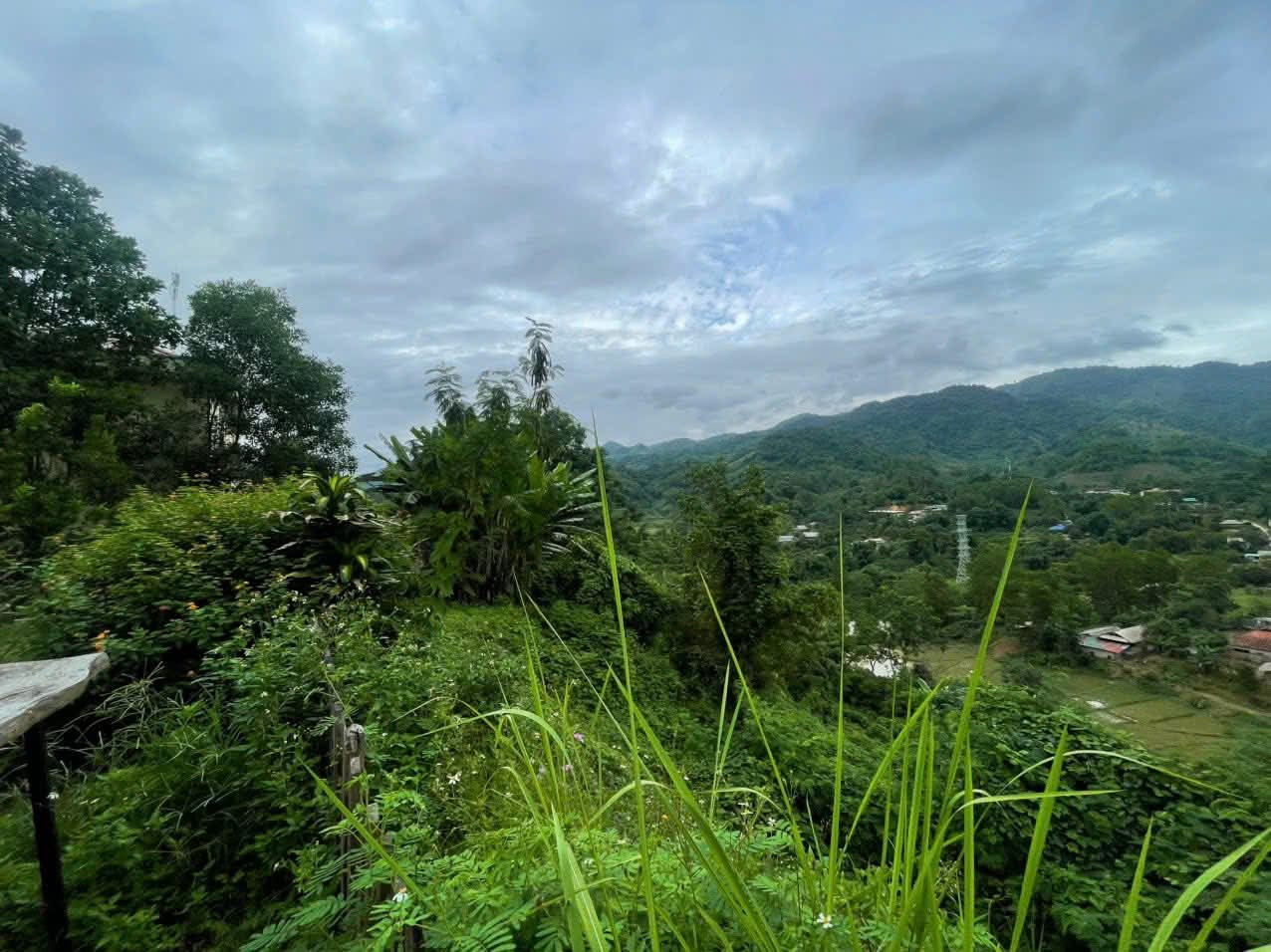 Tà lèng đẹp nhất