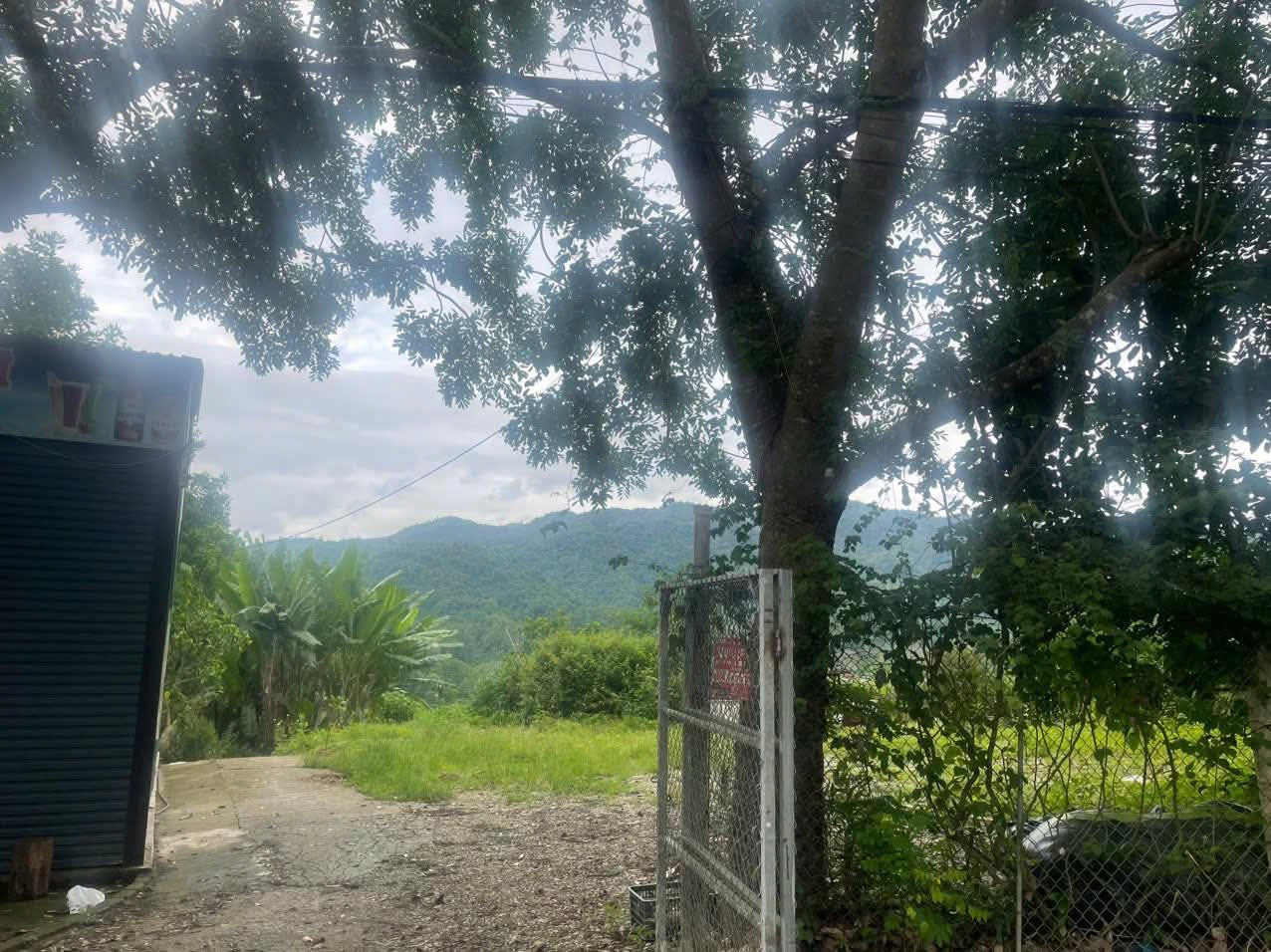Đất nền đẹp