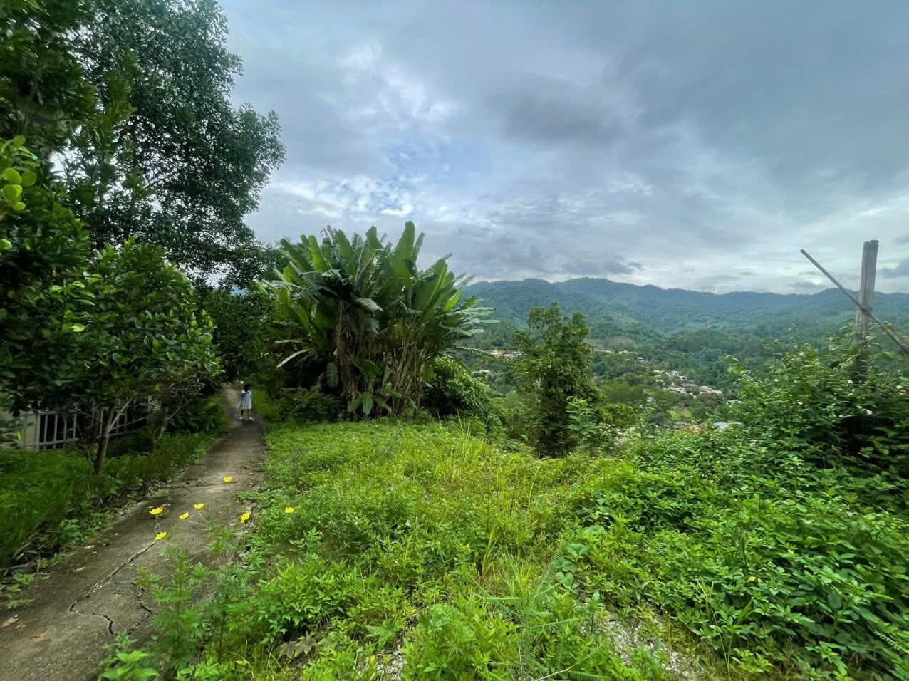 Đất rộng 1