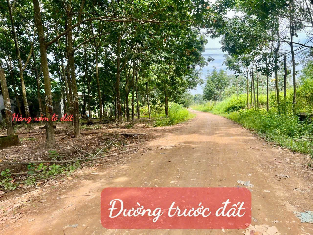 Bán đất 500m² 139 triệu tại Xã Quảng Hiệp Huyện Cư M'gar