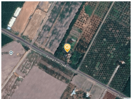 Bán đất 1000m² 480 triệu tại Xã Quang Minh Thị xã Chơn Thành