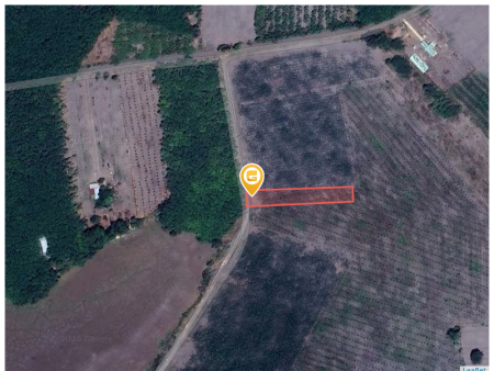 Bán đất 1468.5m² 350 triệu tại Xã Quang Minh Thị xã Chơn Thành