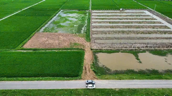 Bán đất TMDV Kiến Xương Thái Bình nằm sát đường Thái Bình Cồn Vành rộng 50m