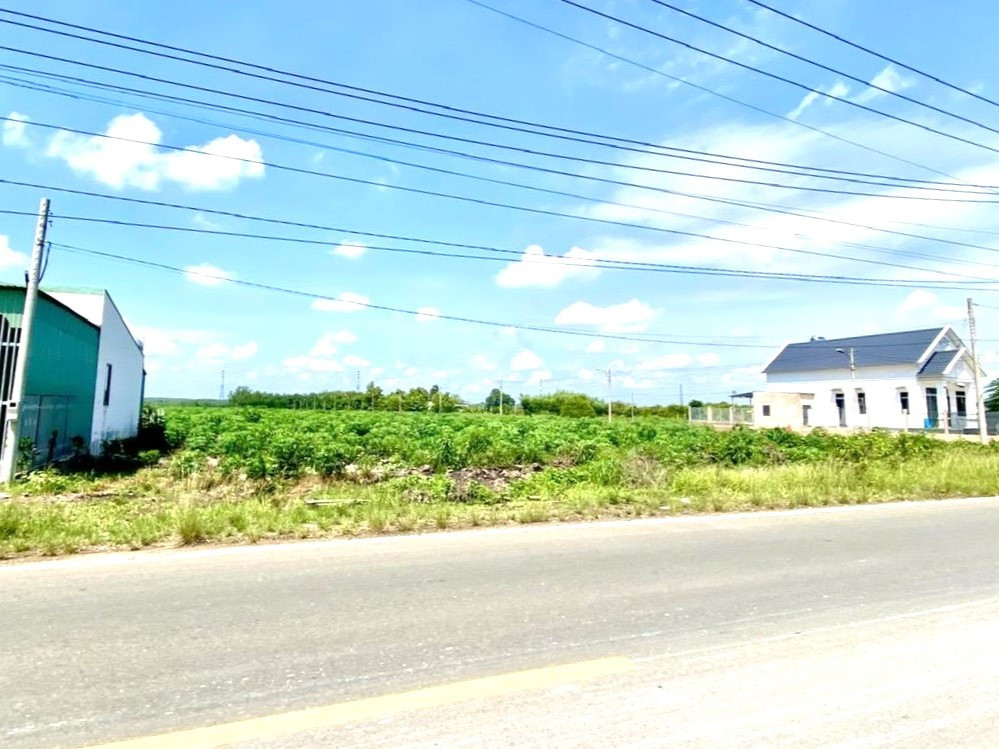 BÁN 2 SÀO (2.250M2) 50M MẶT TIỀN NHỰA CHƠN THÀNH CHỈ 890 TRIỆU