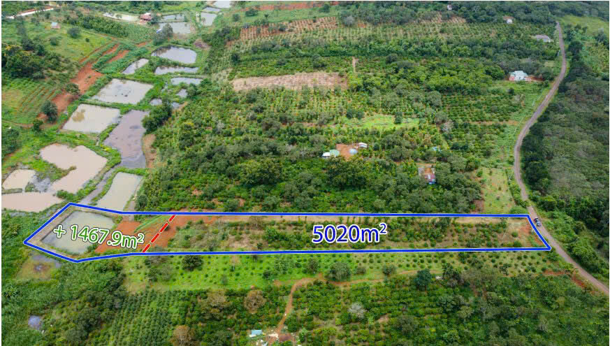 BÁN ĐẤT VƯỜN + THỔ CƯ MẶT TIỀN ĐƯỜNG NHỰA - QUẢNG THÀNH, TP. GIA NGHĨA!