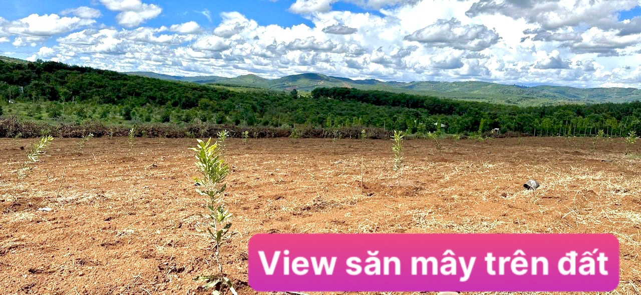 250 Tr/lô sổ riêng gần 1000m2 đất đẹp view đẹp cách ql14 5,6km