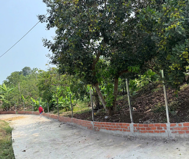 BÁN VƯỜN TRÁI CÂY đã thu hoạch - ngay khu dân cư - đường Ô TÔ vào tận đất - điện nước có sẵn