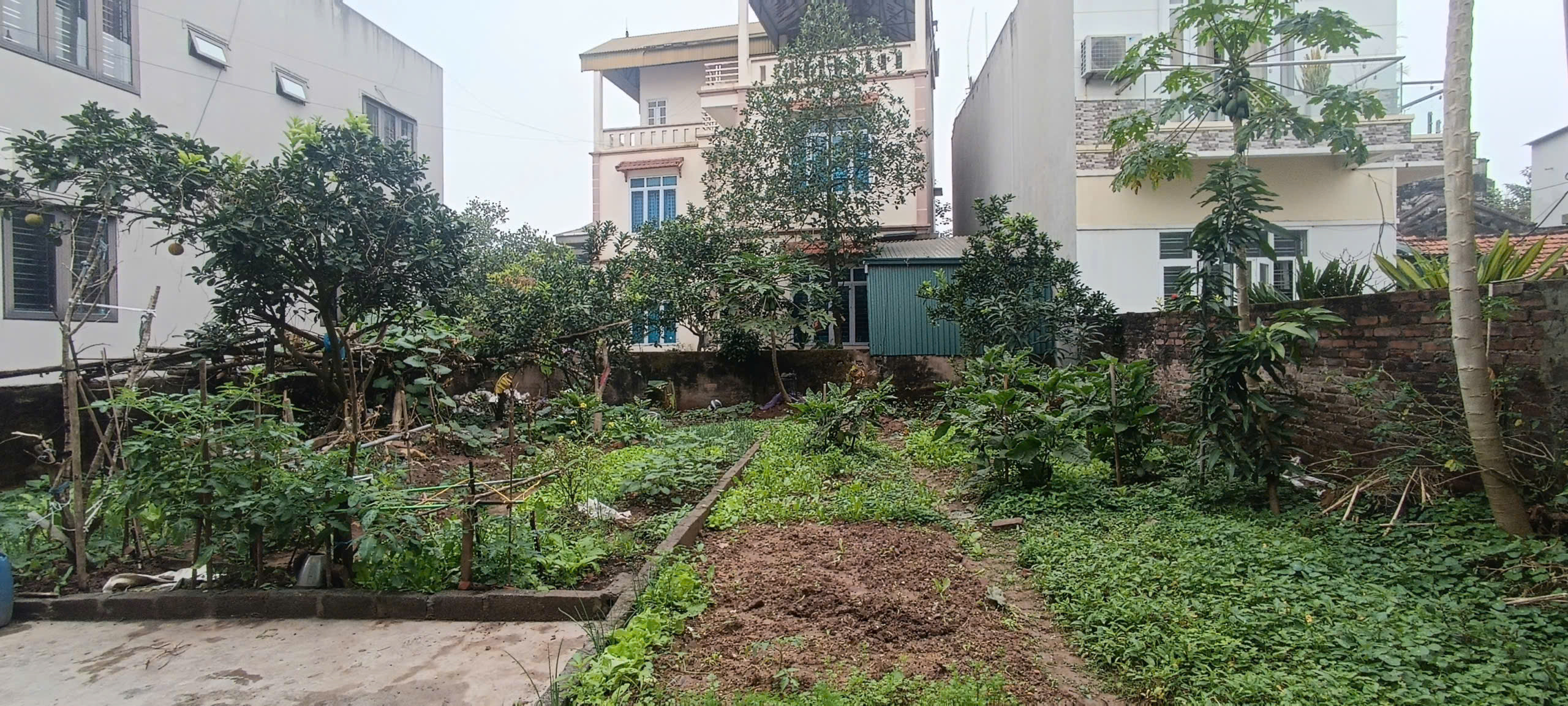 ☘️ HÀNG F0 – QUẤT ĐỘNG – 140M² – MT GẦN 9M – GIÁ RẺ NHẤT KHU ☘️