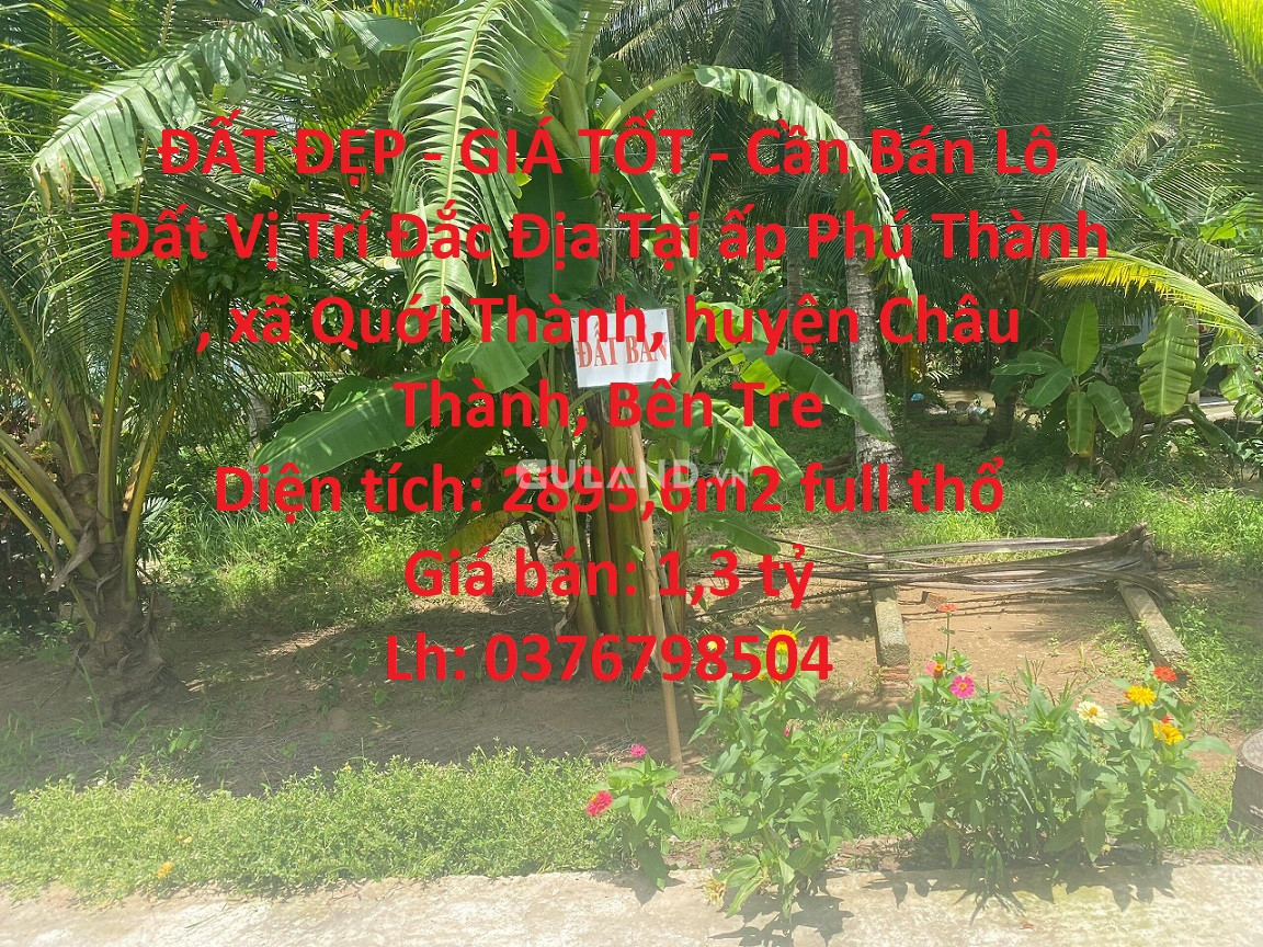 ĐẤT ĐẸP - GIÁ TỐT - Cần Bán Lô Đất Vị Trí Đắc Địa Tại Huyện Châu Thành, Bến Tre