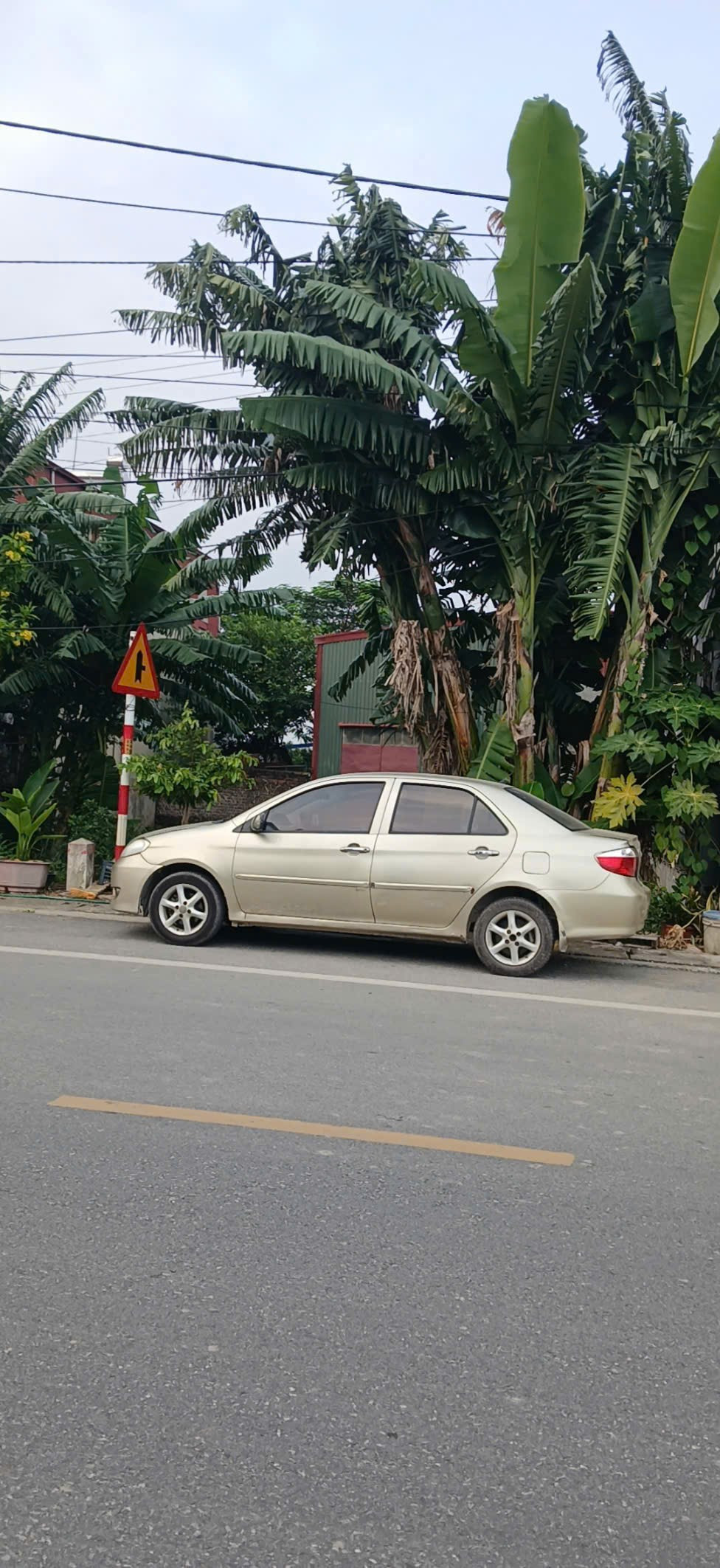 🔥 BÁN ĐẤT TRỤC CHÍNH CỬA SÂN BAY GIA BÌNH 🔥