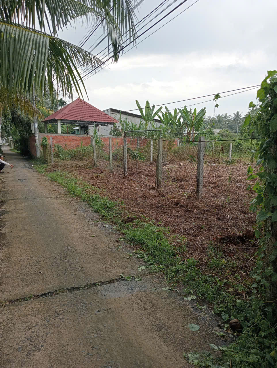Bán đất đường xe hoa lâm xã Sơn Đông.Gía thương lượng trực tiếp