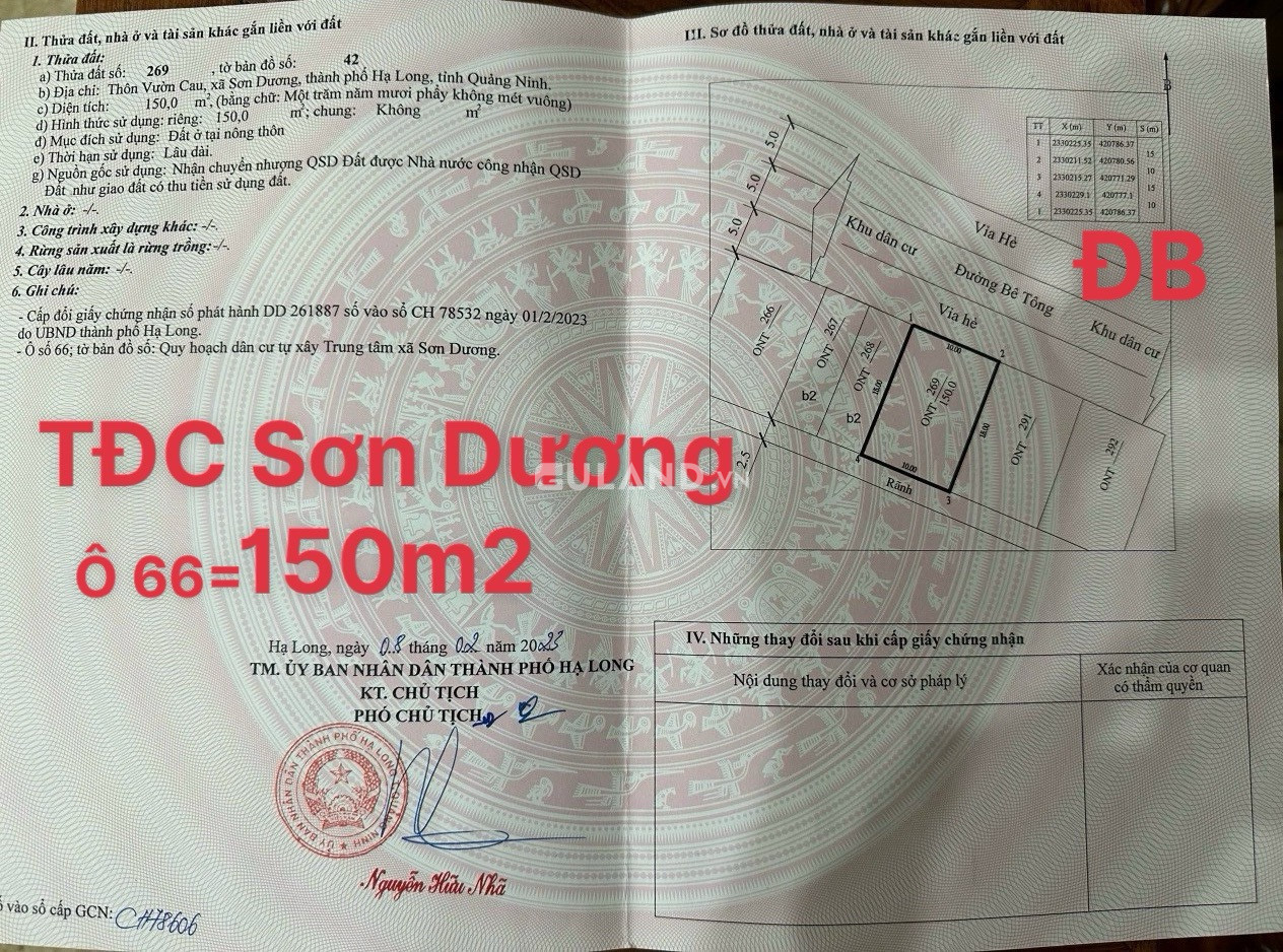 TĐC VƯỜN CAU - SƠN DƯƠNG