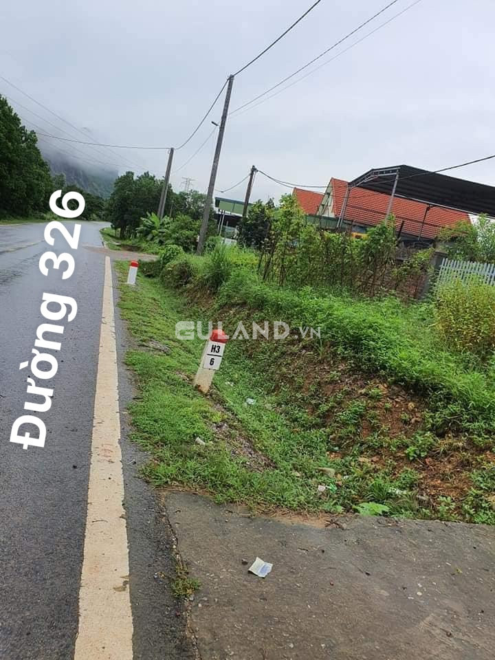 ĐÂT PHÂN LÔ GIÁ RẺ