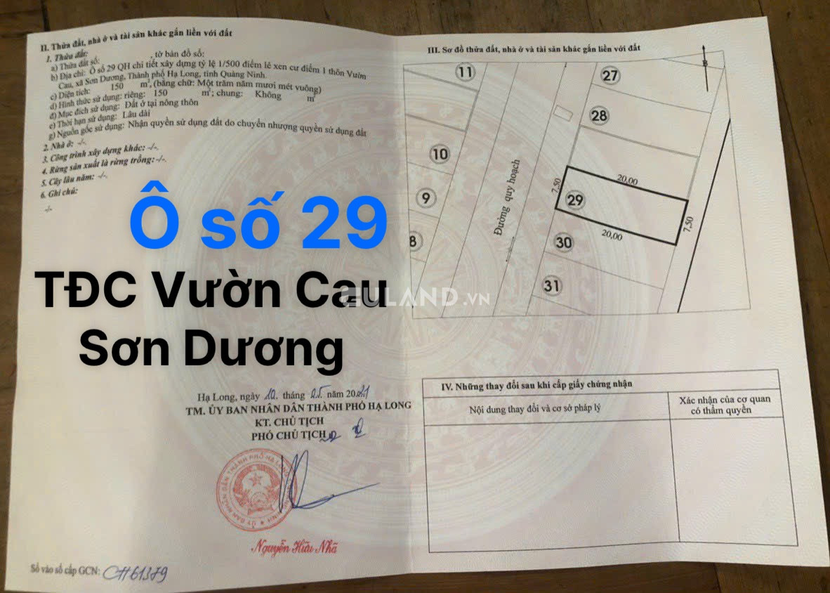 BÁN ĐẤT TĐC VƯỜN CAU-SƠN DƯƠNG