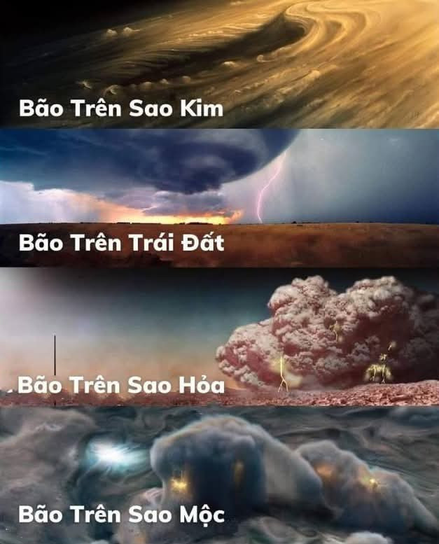 Bán đất 989.3m² ngang 10m giá 1.5 tỷ Xã Sông Lô