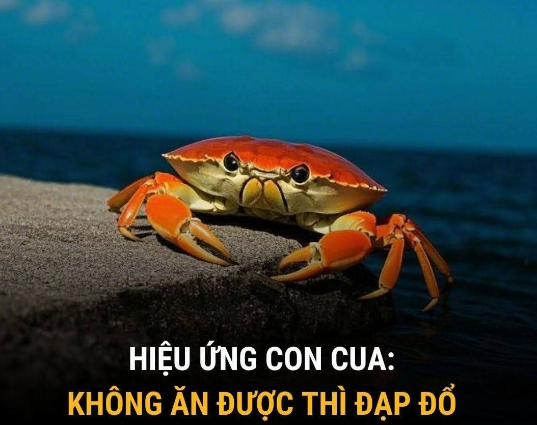 Bán đất 1784.2m² ngang 30m giá 10 tỷ Xã Sông Lô