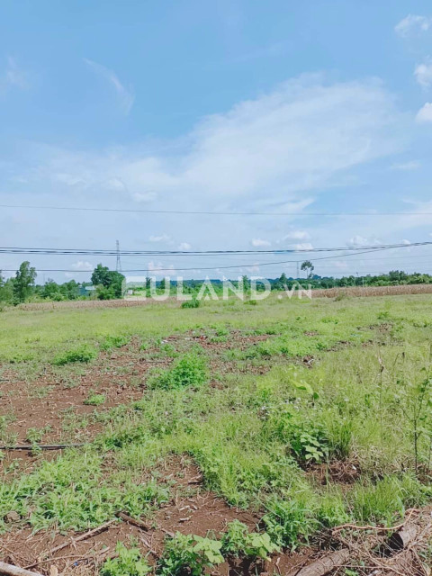 Bán đất sào nông nghiệp giá từ 1tỷ đến 2tỷ ở xã Sông Trầu, huyện Trảng Bom, tỉnh Đồng Nai