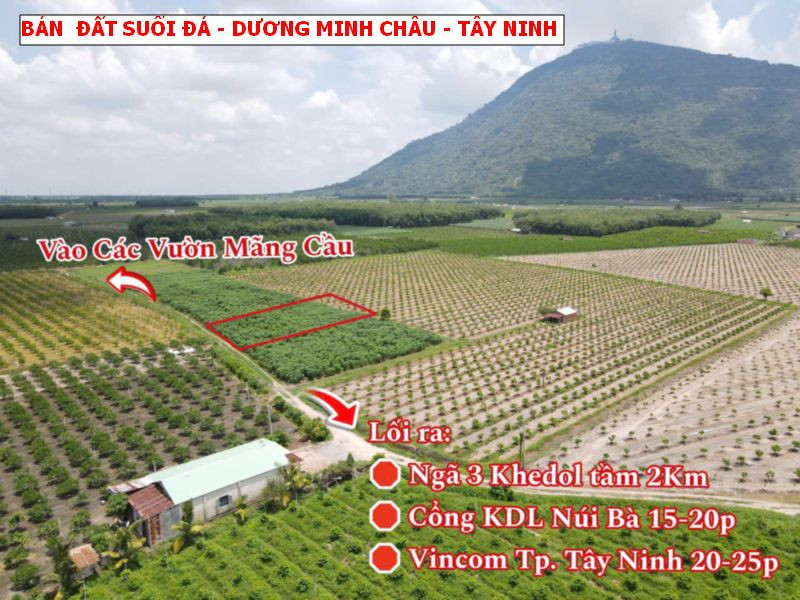 Bán đất vườn Suối Đá - Dương Minh Châu - Tây Ninh chỉ 399tr