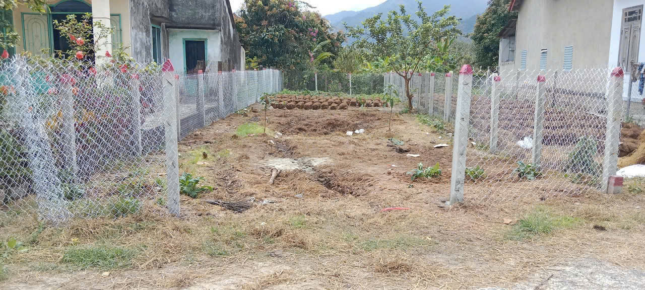 Bán đất Bình Lộc 202m², ngang 7m, mặt tiền nhựa, dân cư đông, giá chỉ 1,5 tỷ!