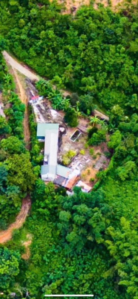 Bán đất tà lèng thanh minh điện biên