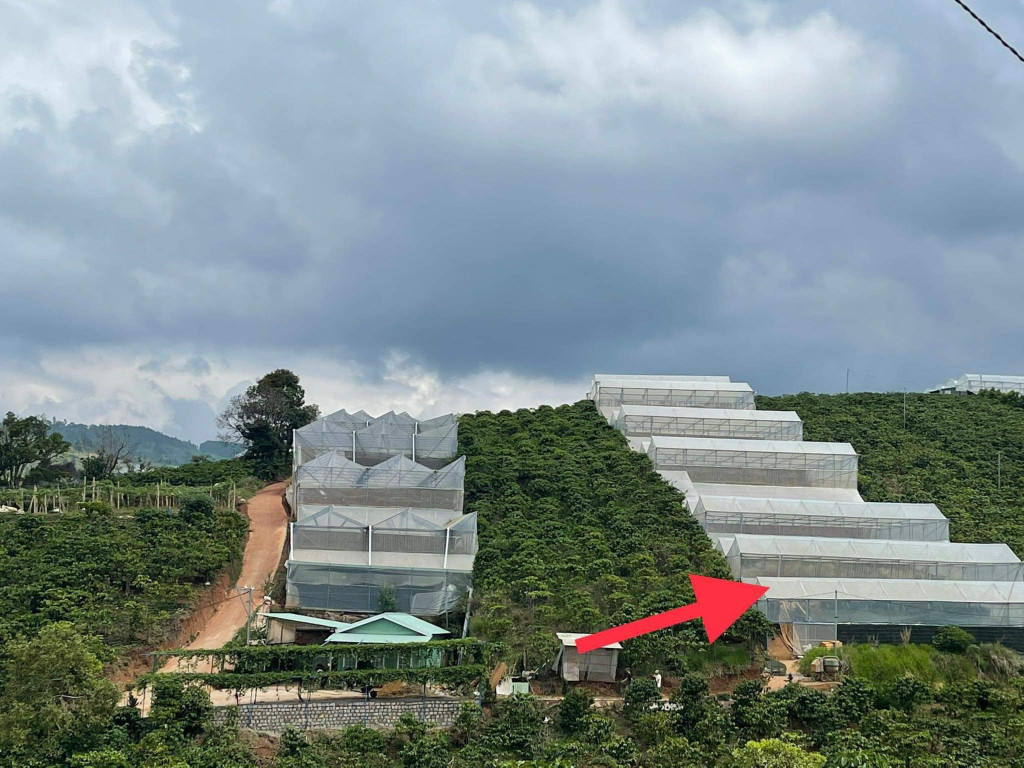 Bán  đất nông nghiệp 2517m² , giá 5.25 tỷ tại, Xã Tà Nung, Thành phố Đà Lạt, Lâm Đồng
