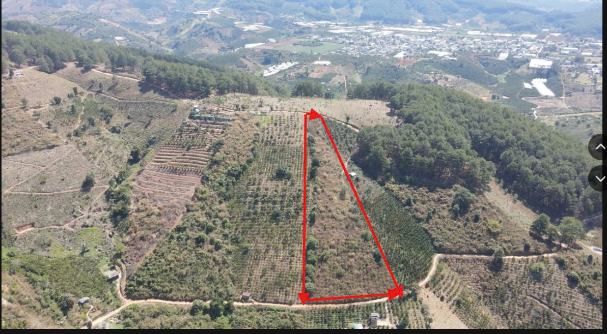 Bán 6300m² Đât Tà Nung