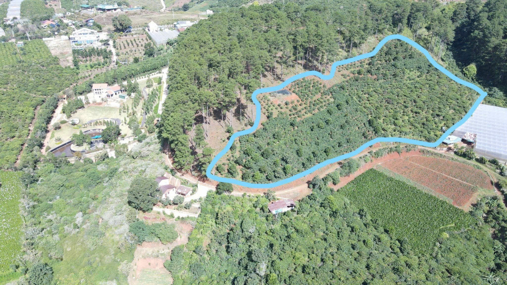 1.2ha đất vị trí vàng mặt tiền 725 liền kề trung tâm thành phố đà lạt