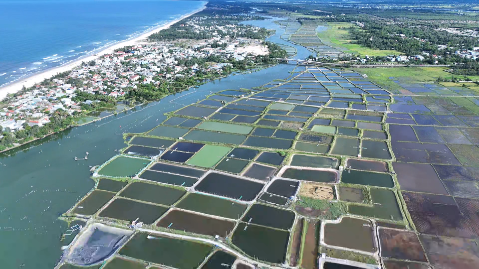 Bán đất 1.500m² giá 5 tỷ Xã Tam hòa