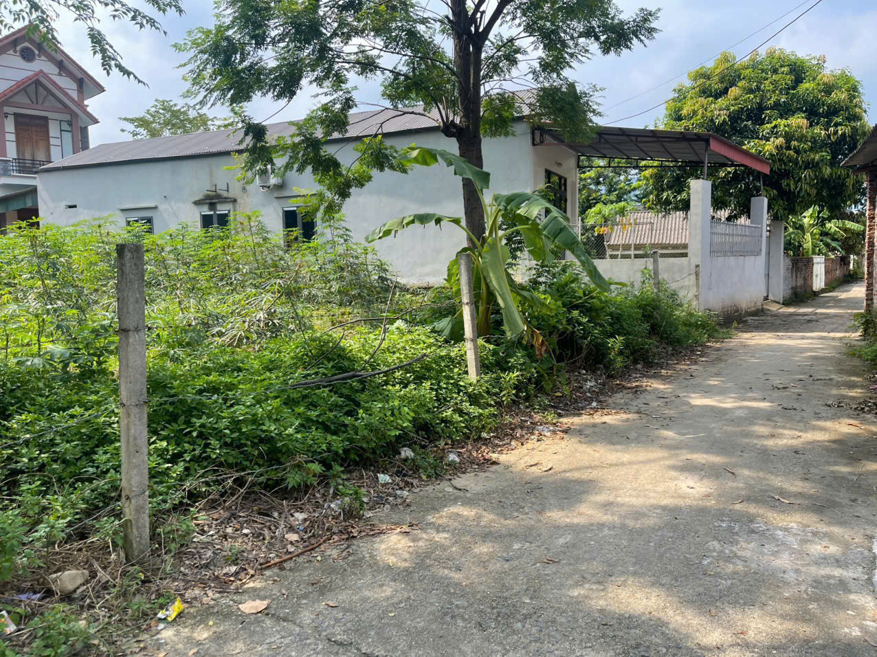 Bán đất 96m² ngang 5m giá 760 triệu Xã Tam Đảo