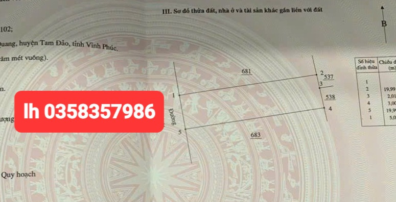 Bán đất 100m² ngang 5m giá 2.3 tỷ Xã Tam Đảo
