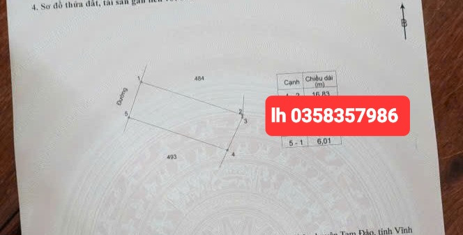 Bán đất 100m² ngang 6.01m giá 1.8 tỷ Xã Tam Đảo