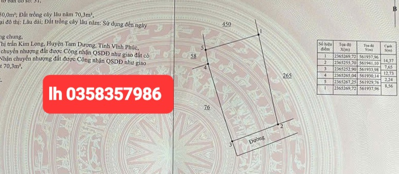 Bán đất 120.3m² ngang 8.56m giá 690 triệu Xã Tam Dương