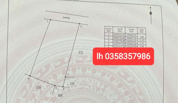 Bán đất 100m² ngang 7m giá 980 triệu Xã Tam Dương