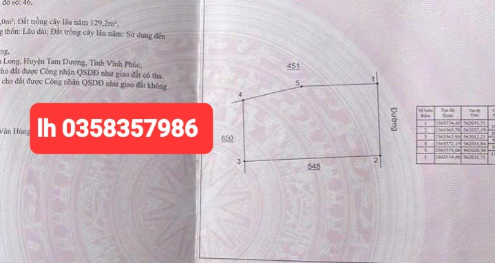 Bán đất 209.2m² ngang 10.2m giá 2.75 tỷ Xã Tam Dương